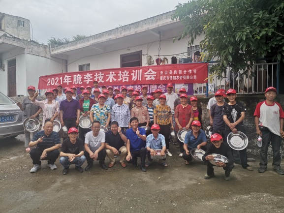 图片5两场种植技术培训观摩会现场.jpg 图片5两场种植技术培训观摩会现场.jpg
