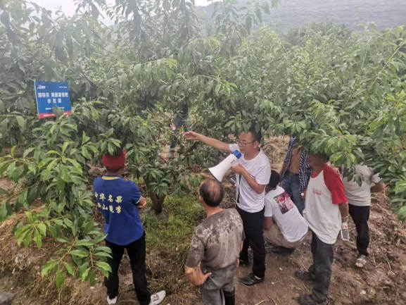 图片7罗德国老师在示范田观摩会现场讲解介绍澳之蓝套餐肥效果.jpg 图片7罗德国老师在示范田观摩会现场讲解介绍澳之蓝套餐肥效果.jpg