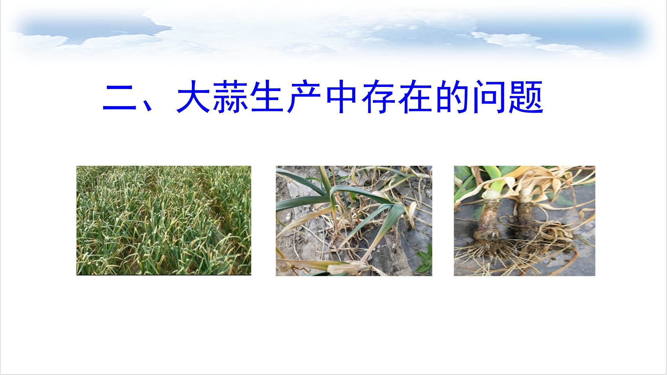 图15.jpg 图15.jpg