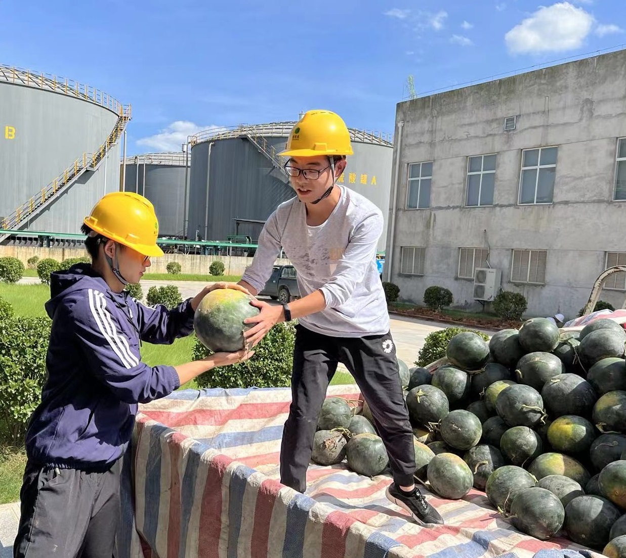 宜昌6686.com官网为职工准备西瓜.jpg 宜昌6686.com官网为职工准备西瓜.jpg