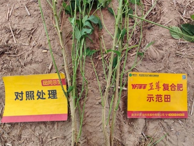茎秆对比.jpg