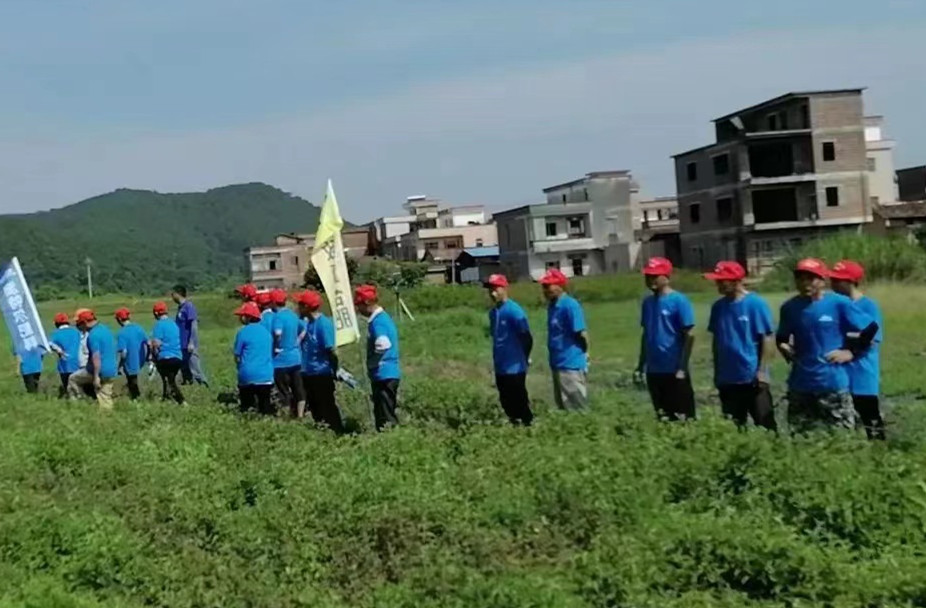 田间观摩_副本.jpg